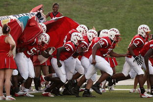 乐鱼电竞· (中国)官方网站-全国城际定向越野赛青少年组吸引众多参赛者，全国定向越野锦标赛