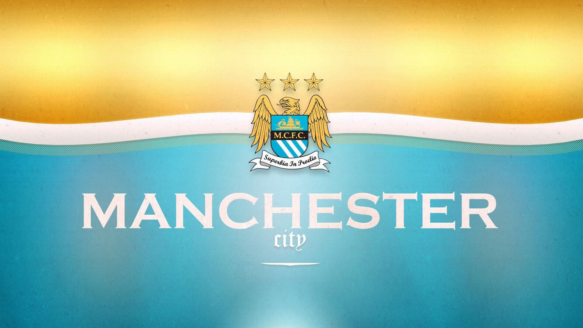 足球青训学院建立教练员能力认证与晋升体系,足球教练员信息管理系统
